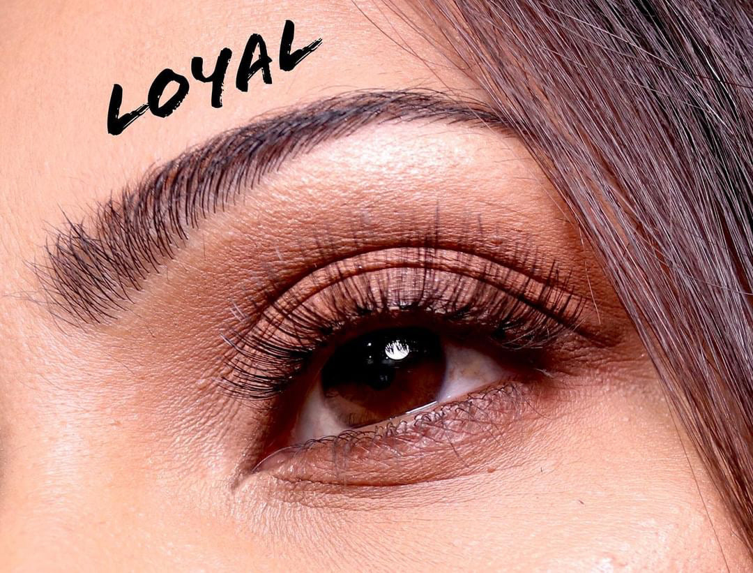 Glam Lash- Loyal